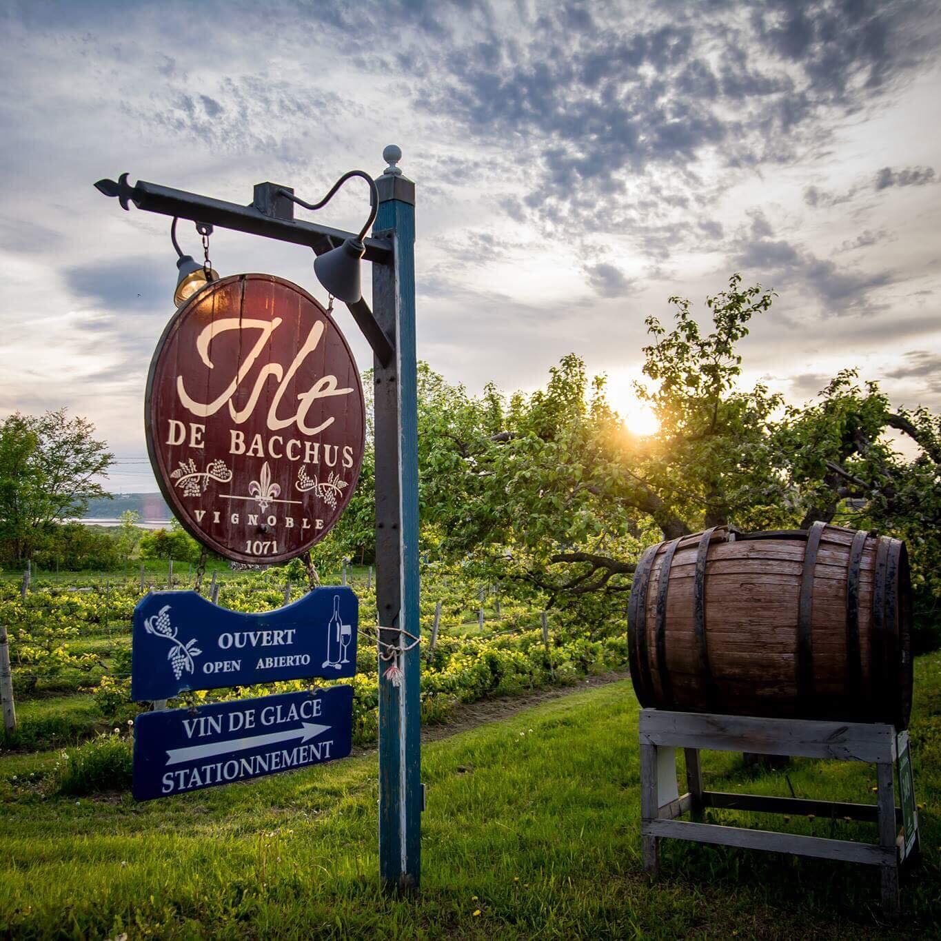 Vignoble Isle de Bacchus